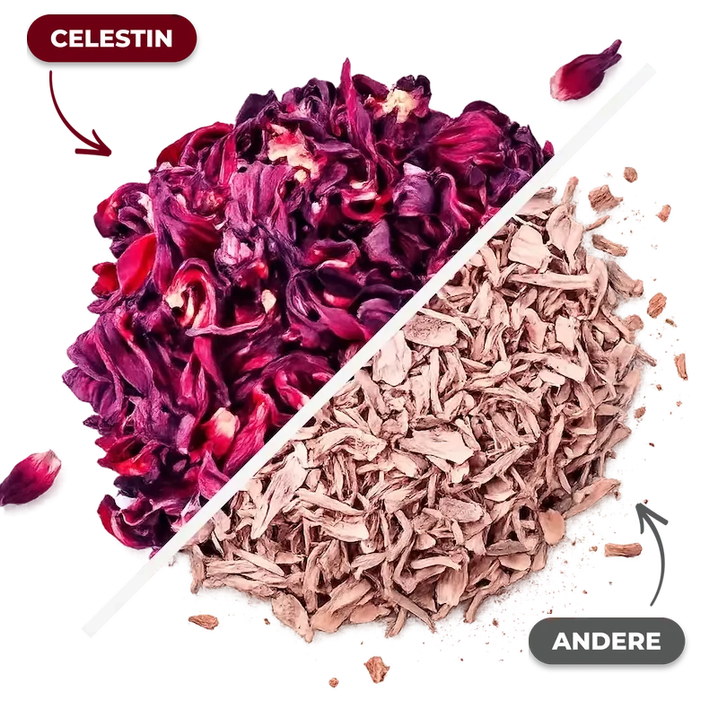 Unser Hibiskus vs. Billig-Hibiskus